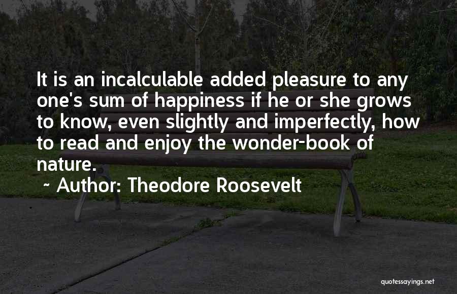 Imperfectly Quotes By Theodore Roosevelt