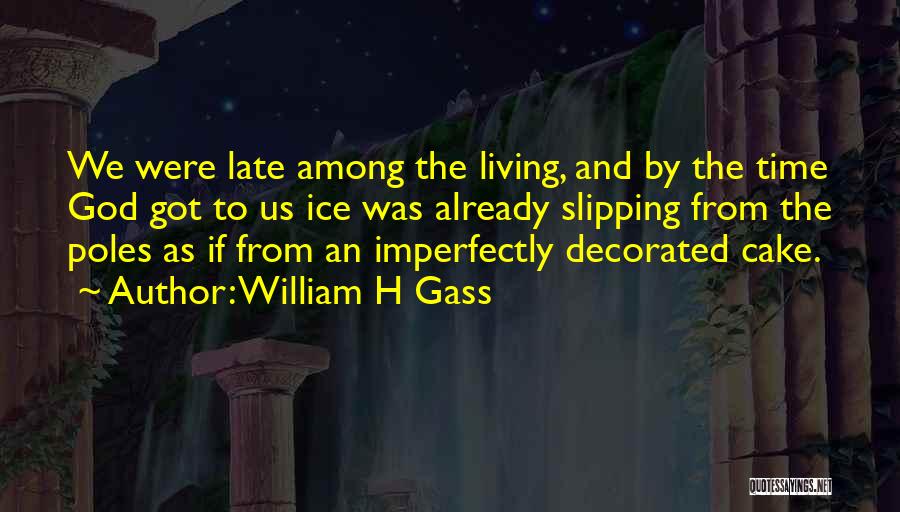 Imperfectly Quotes By William H Gass