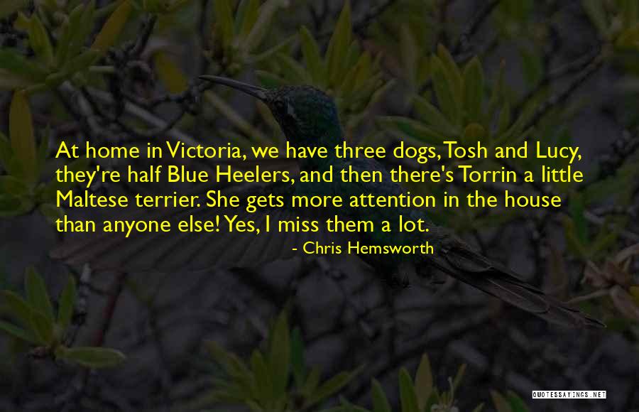Imperial Walkers Quotes By Chris Hemsworth Imperial Walkers Quotes By Chris Hemsworth