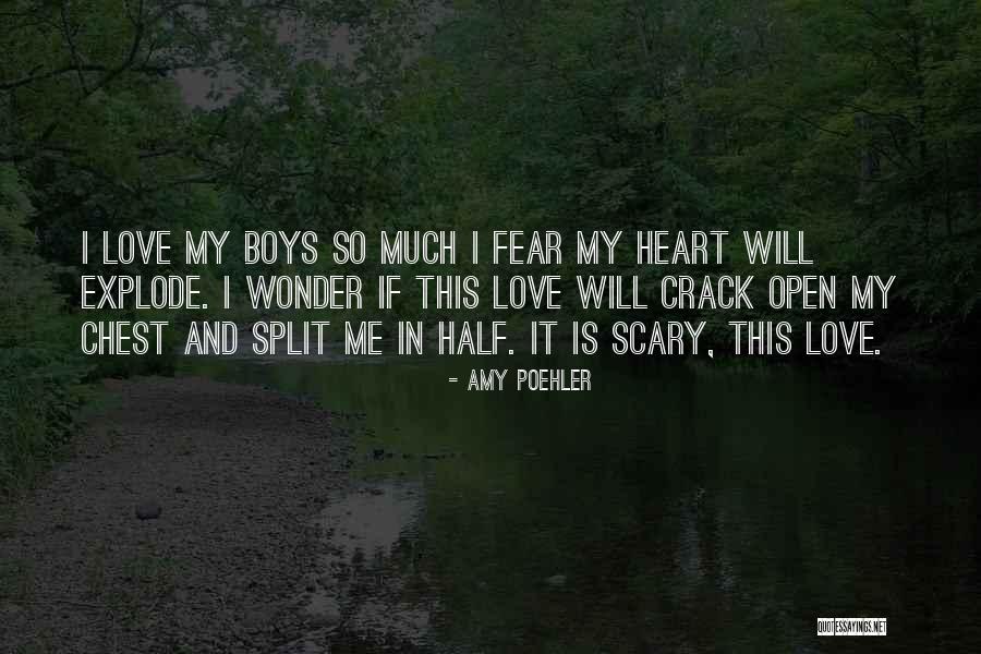 Imperiale Brentwood Quotes By Amy Poehler Imperiale Brentwood Quotes By Amy Poehler