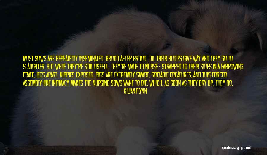 Imperishable Enchantment Quotes By Gillian Flynn Imperishable Enchantment Quotes By Gillian Flynn