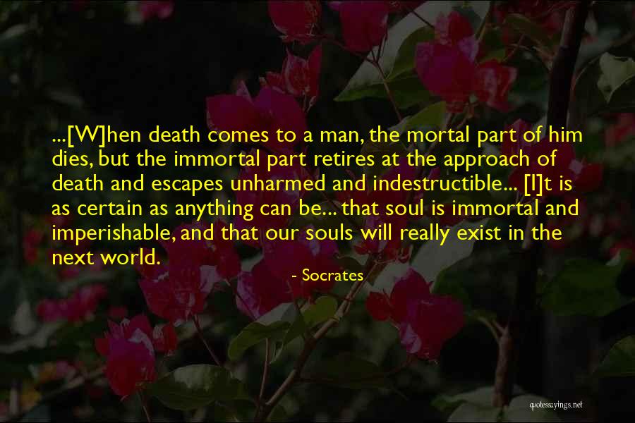 Imperishable Quotes By Socrates