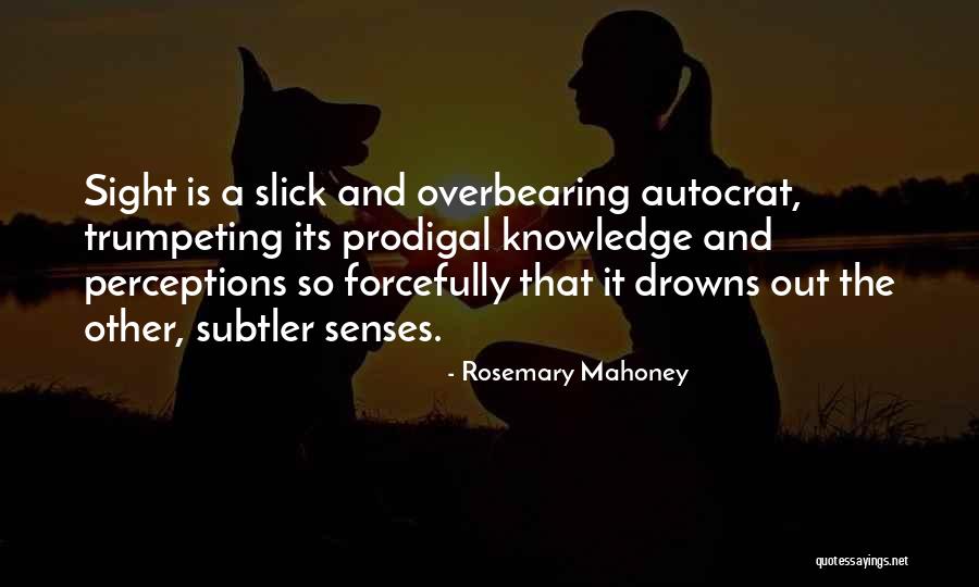 Impertinence Antonym Quotes By Rosemary Mahoney Impertinence Antonym Quotes By Rosemary Mahoney