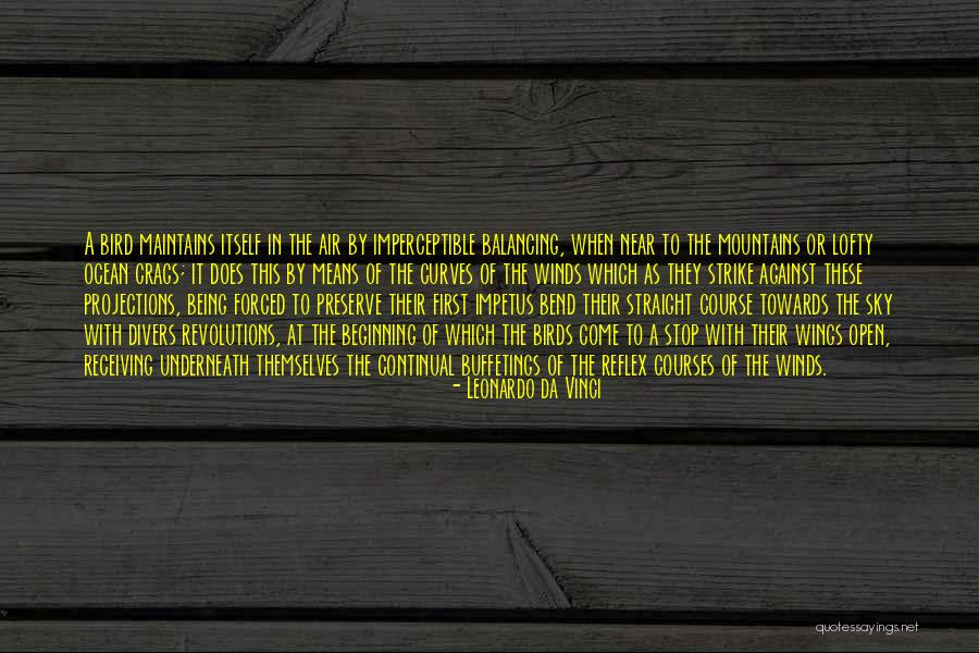 Impetus Quotes By Leonardo Da Vinci Impetus Quotes By Leonardo Da Vinci