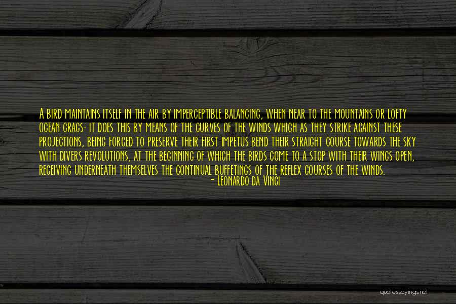 Impetus Quotes By Leonardo Da Vinci