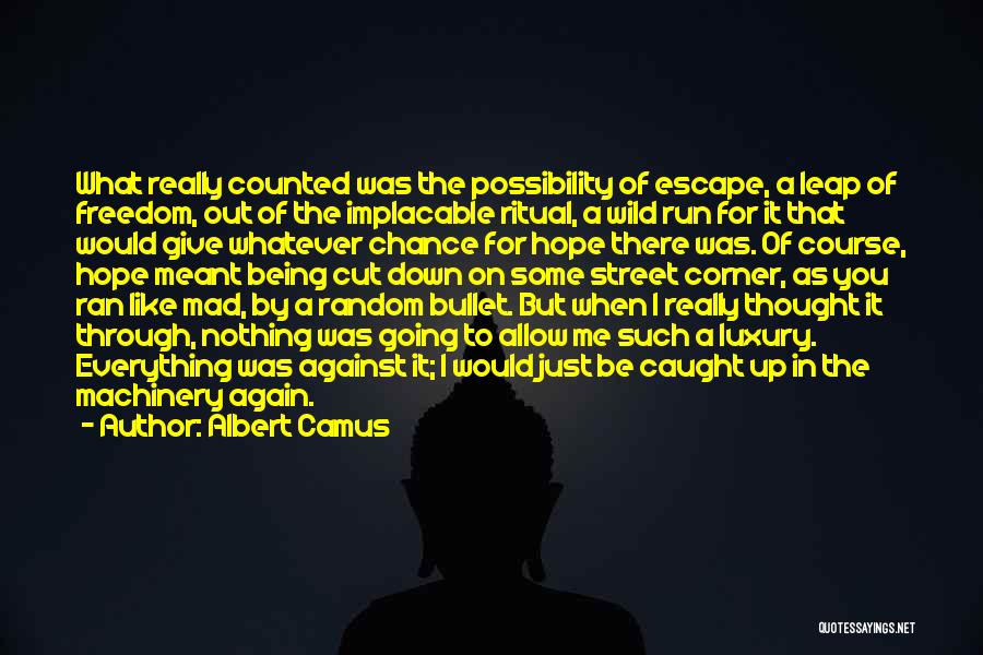 Implacable Quotes By Albert Camus