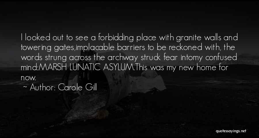 Implacable Quotes By Carole Gill