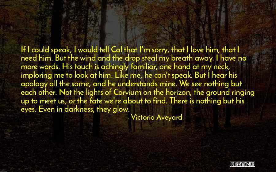 Imploring Quotes By Victoria Aveyard Imploring Quotes By Victoria Aveyard
