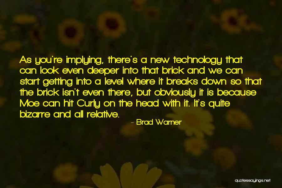 Implying Quotes By Brad Warner