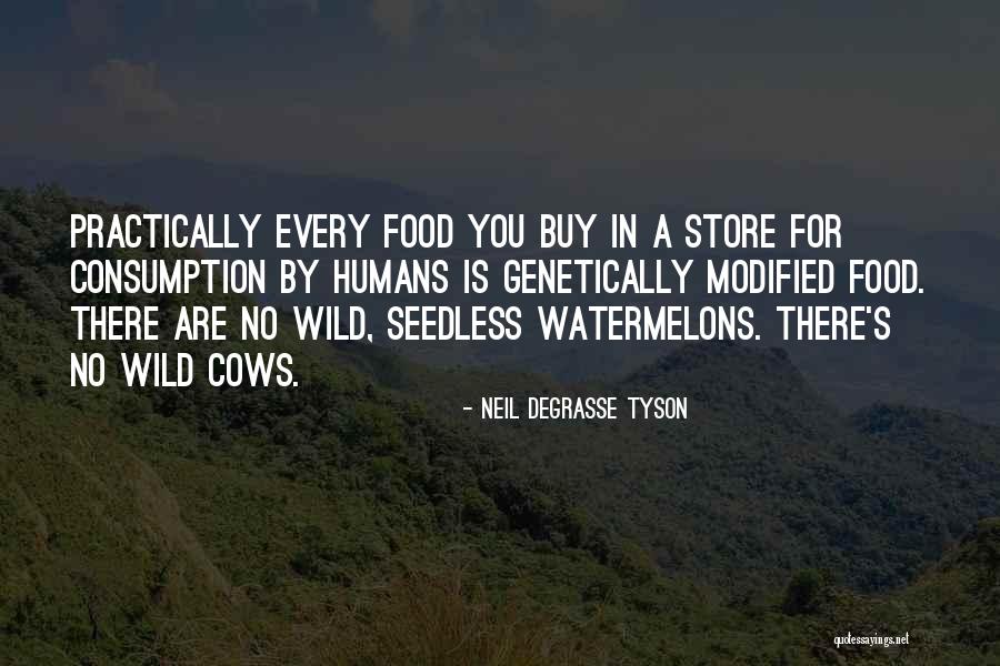 Importance Education Islam Quotes By Neil DeGrasse Tyson Importance Education Islam Quotes By Neil DeGrasse Tyson