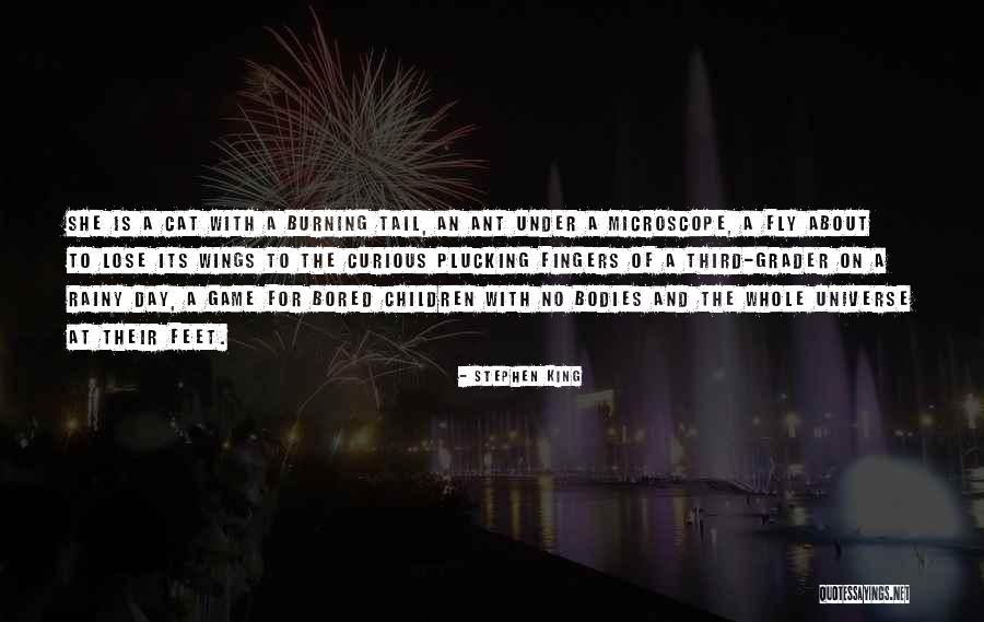 Importance Of Black History Quotes By Stephen King Importance Of Black History Quotes By Stephen King