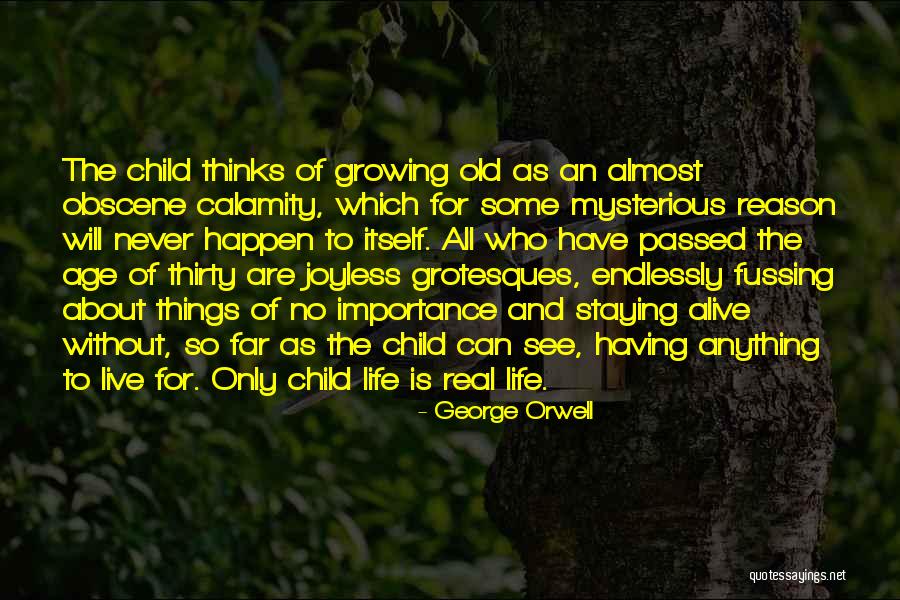 Importance Of Children Quotes By George Orwell Importance Of Children Quotes By George Orwell