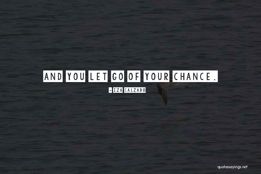Importance Of Data Quotes By Iza Calzado