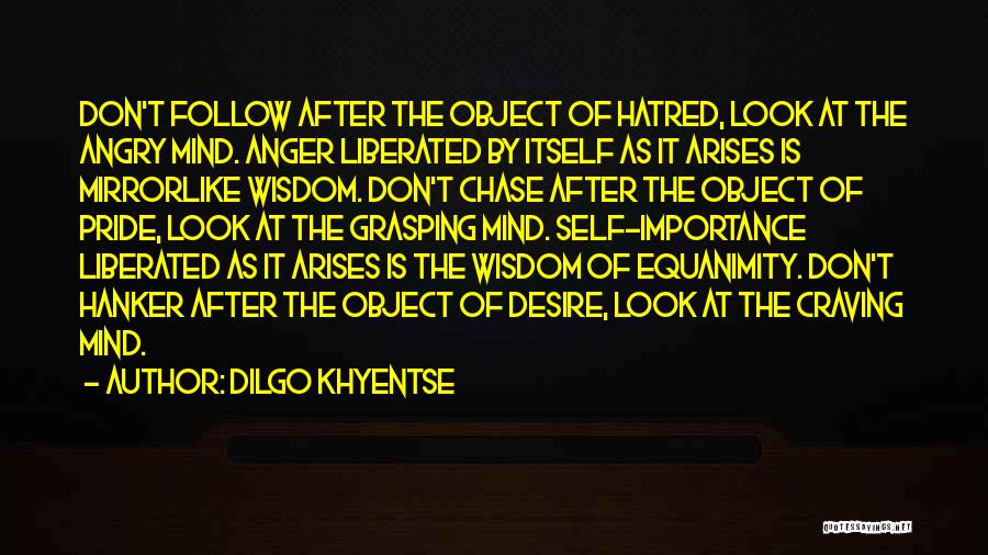 Importance Of Follow Up Quotes By Dilgo Khyentse