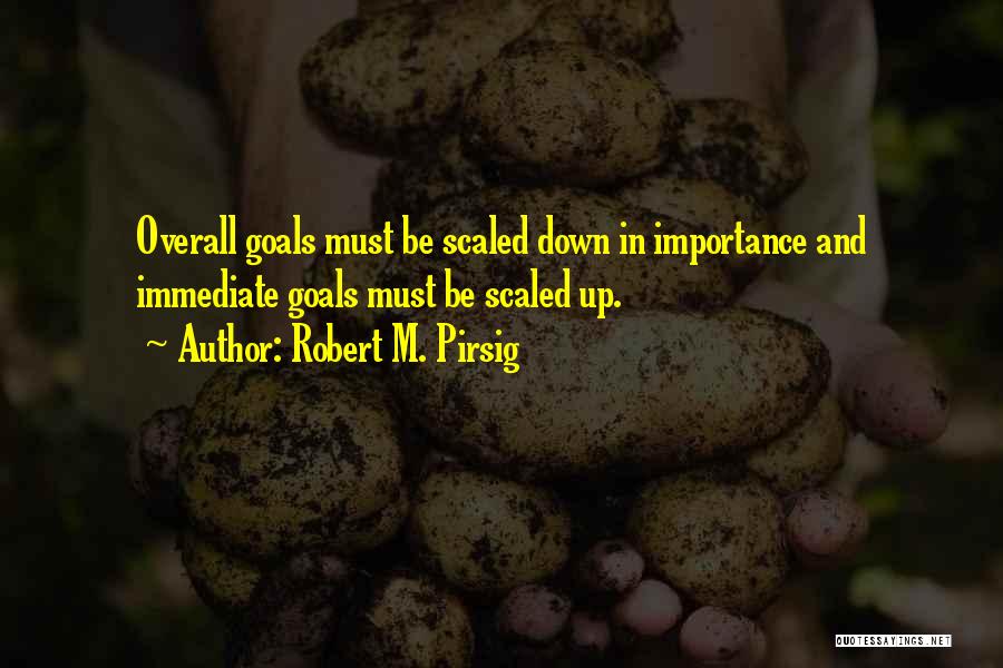 Importance Of Goals Quotes By Robert M. Pirsig