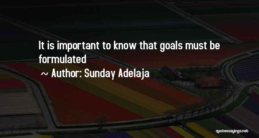 Importance Of Goals Quotes By Sunday Adelaja