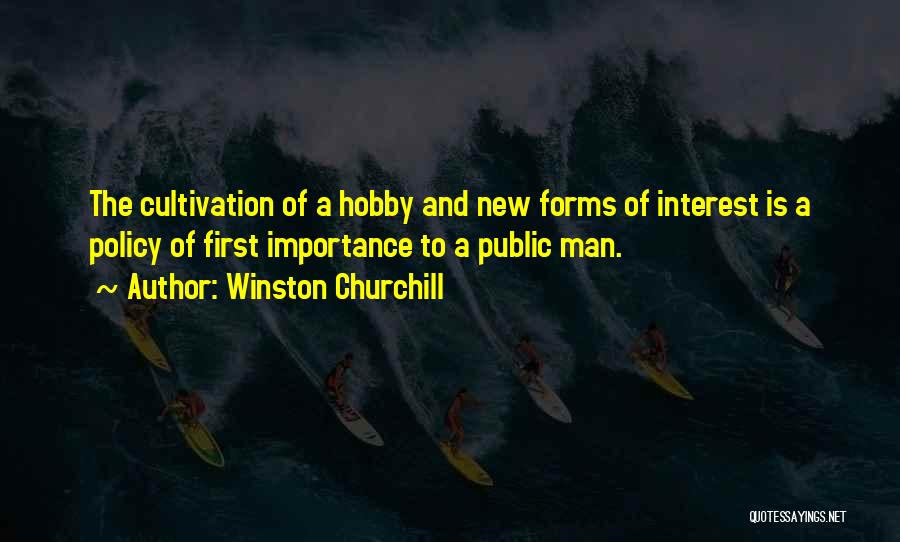 Importance Of Hobbies Quotes By Winston Churchill