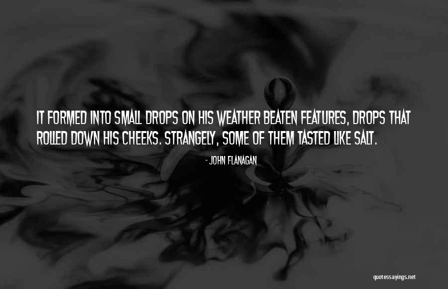 Importance Of Homeland Quotes By John Flanagan Importance Of Homeland Quotes By John Flanagan