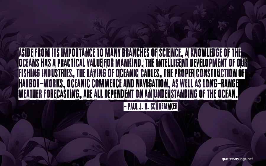 Importance Of Industries Quotes By Paul J. H. Schoemaker Importance Of Industries Quotes By Paul J. H. Schoemaker
