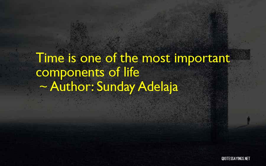 Importance Of Job Quotes By Sunday Adelaja