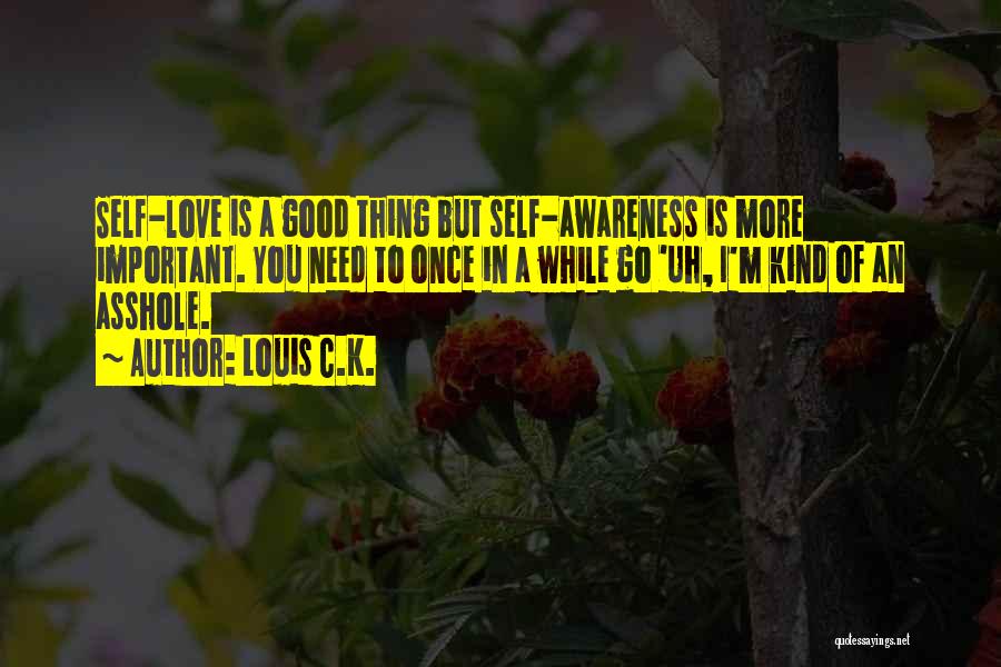 Importance Of Love Quotes By Louis C.K.