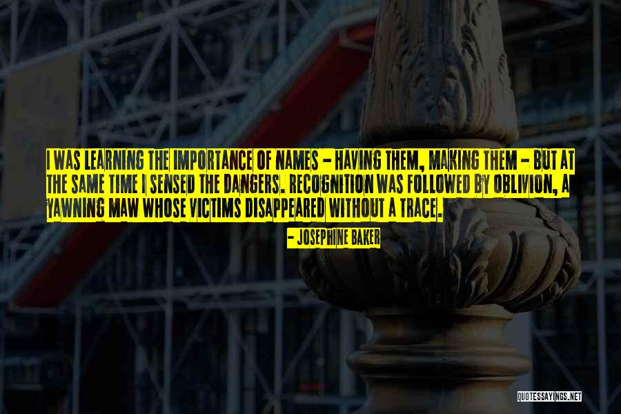 Importance Of Names Quotes By Josephine Baker Importance Of Names Quotes By Josephine Baker