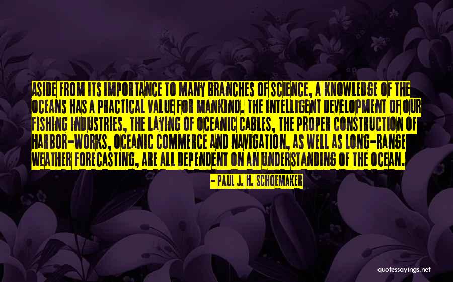Importance Of Practical Knowledge Quotes By Paul J. H. Schoemaker Importance Of Practical Knowledge Quotes By Paul J. H. Schoemaker