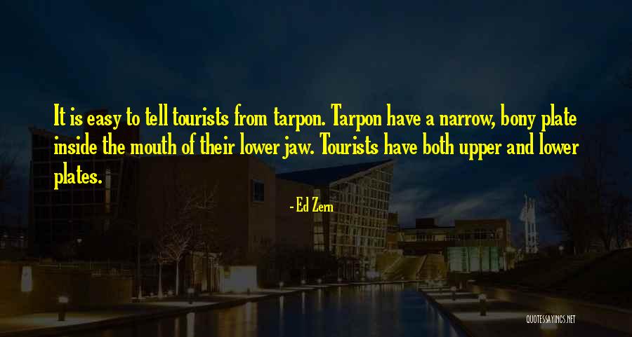 Importance Of Ritual Quotes By Ed Zern Importance Of Ritual Quotes By Ed Zern