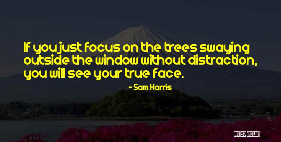 Importance Of Segregation Quotes By Sam Harris Importance Of Segregation Quotes By Sam Harris