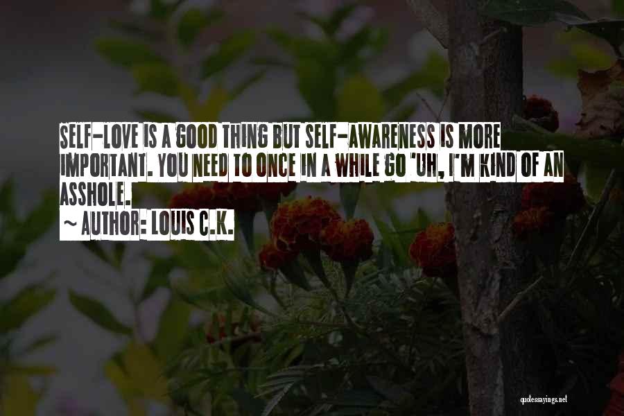 Importance Of Self Love Quotes By Louis C.K.