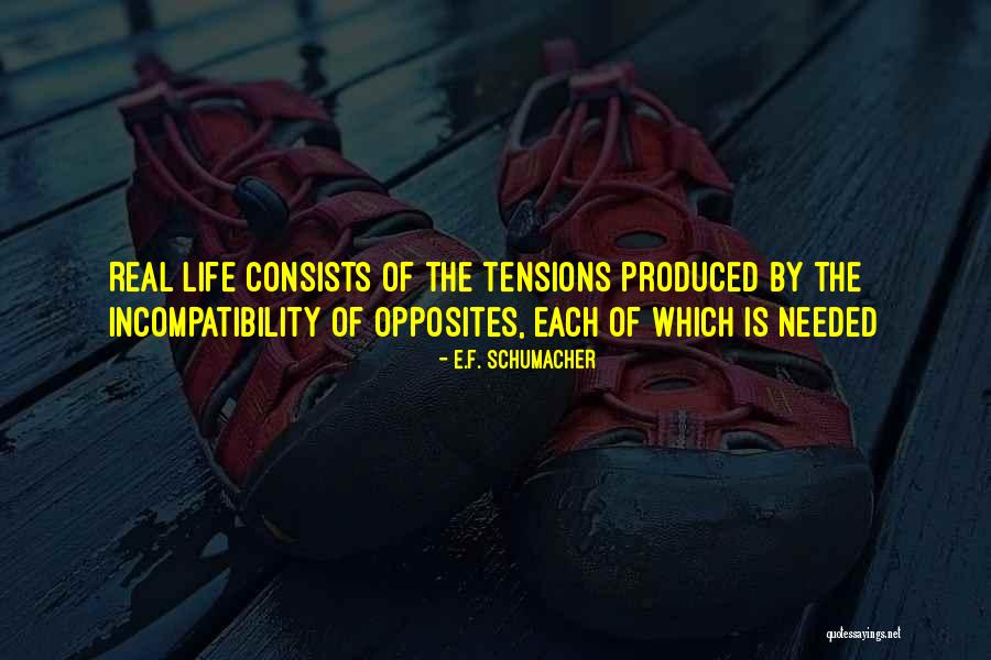 Importance Of Solutions Quotes By E.F. Schumacher Importance Of Solutions Quotes By E.F. Schumacher