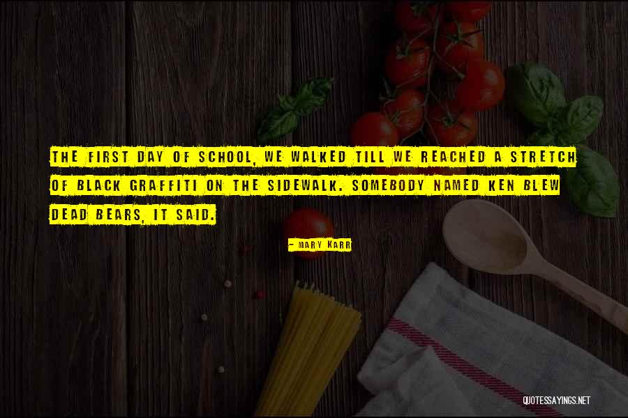 Importance Of Sponsorship Quotes By Mary Karr Importance Of Sponsorship Quotes By Mary Karr