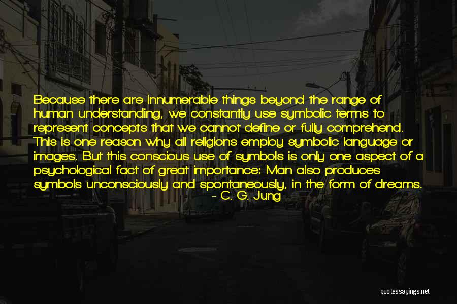 Importance Of Why Quotes By C. G. Jung Importance Of Why Quotes By C. G. Jung
