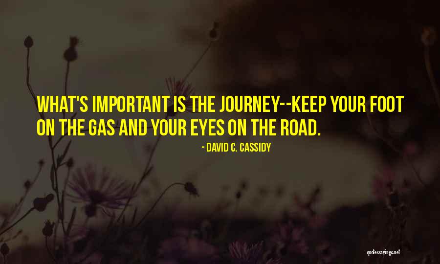 Important And Inspirational Quotes By David C. Cassidy Important And Inspirational Quotes By David C. Cassidy