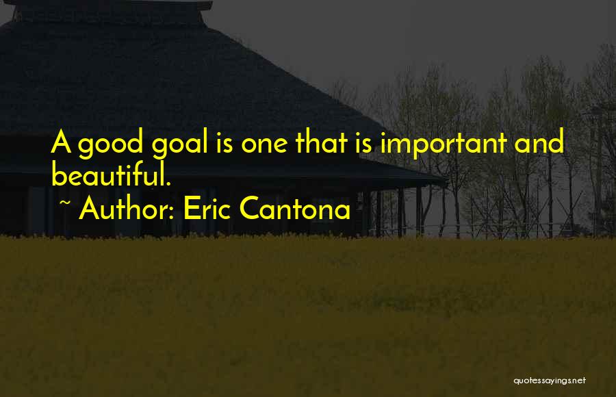 Important Beautiful Quotes By Eric Cantona