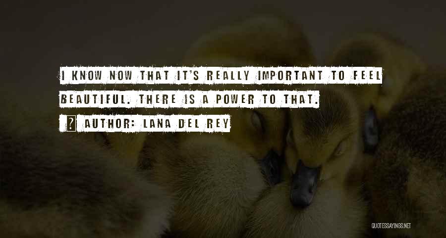 Important Beautiful Quotes By Lana Del Rey