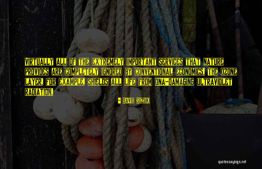 Important But Sometimes Ignored Quotes By David Suzuki Important But Sometimes Ignored Quotes By David Suzuki