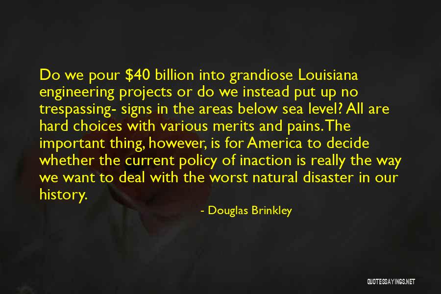 Important Choices Quotes By Douglas Brinkley Important Choices Quotes By Douglas Brinkley
