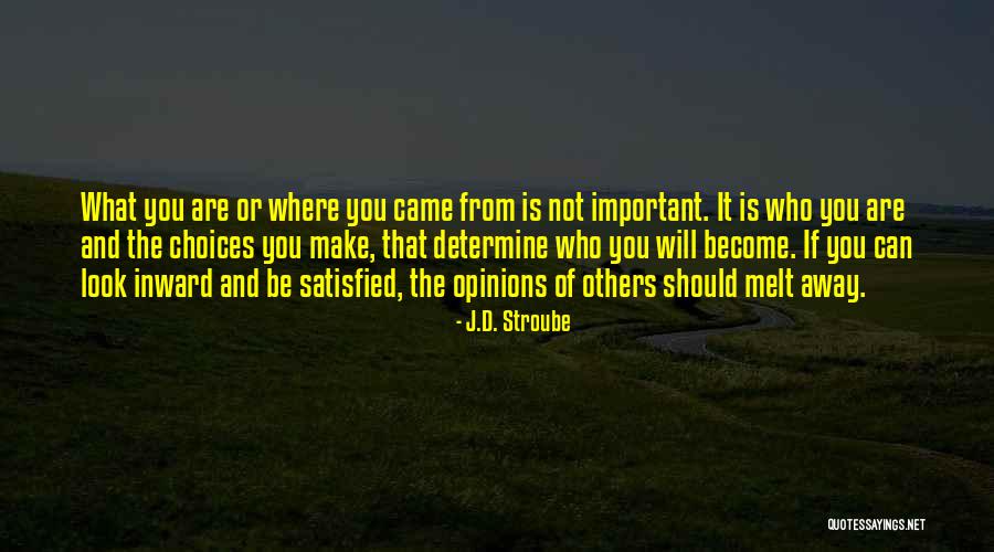 Important Choices Quotes By J.D. Stroube Important Choices Quotes By J.D. Stroube
