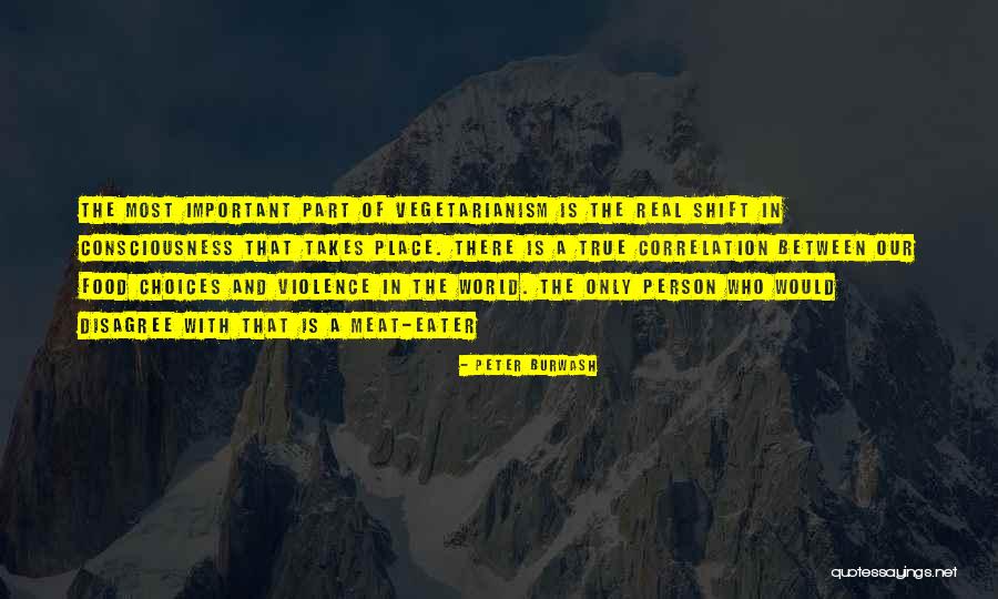 Important Choices Quotes By Peter Burwash Important Choices Quotes By Peter Burwash