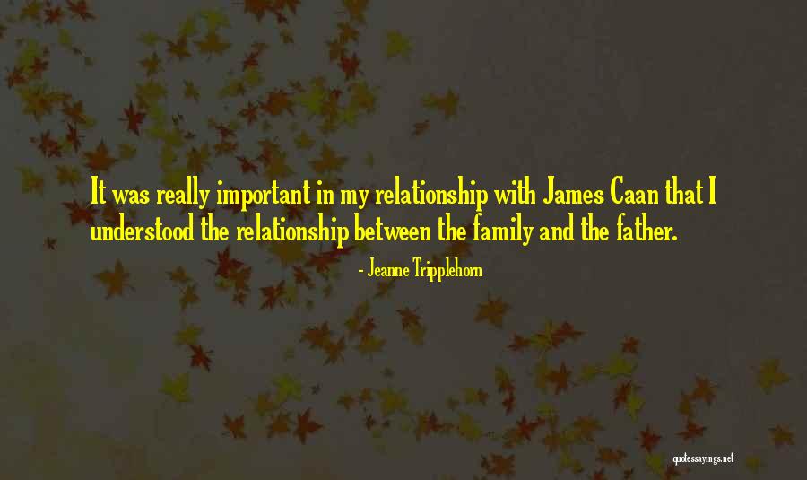 Important Family Quotes By Jeanne Tripplehorn Important Family Quotes By Jeanne Tripplehorn