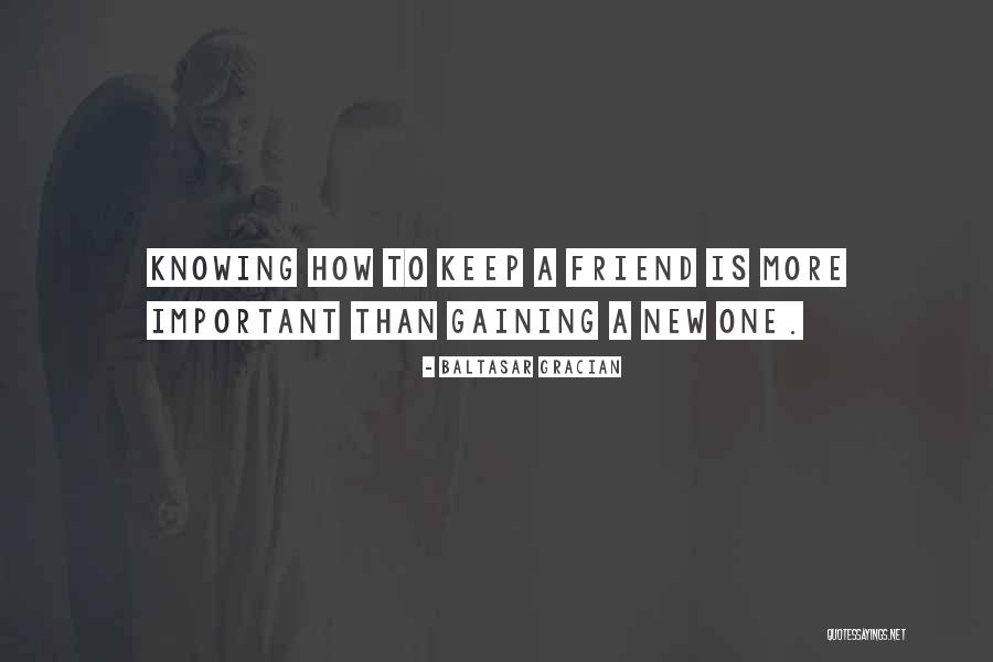 Important Friend Quotes By Baltasar Gracian