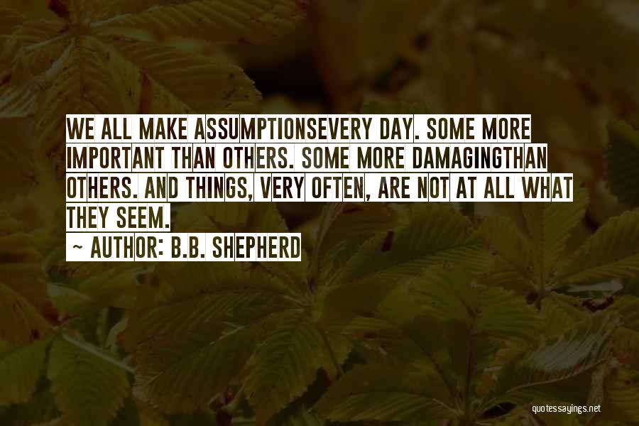 Important Lessons Quotes By B.B. Shepherd