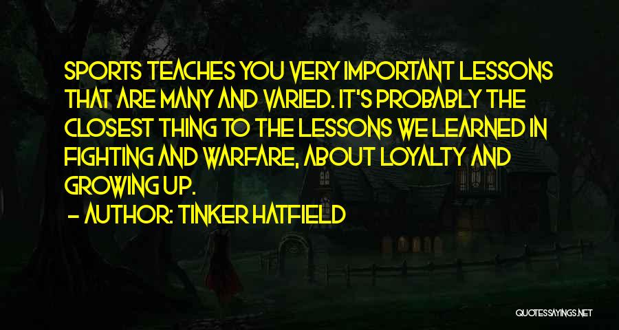 Important Lessons Quotes By Tinker Hatfield