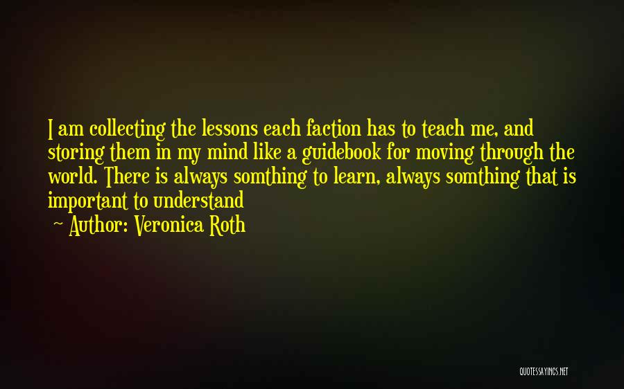 Important Lessons Quotes By Veronica Roth