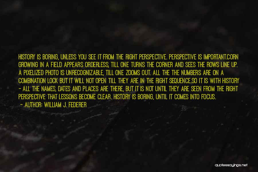 Important Lessons Quotes By William J. Federer