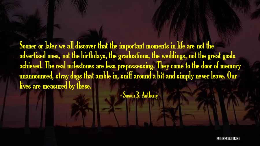 Important Life Moments Quotes By Susan B. Anthony Important Life Moments Quotes By Susan B. Anthony