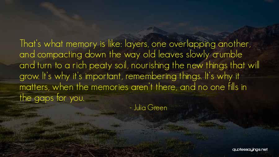 Important Memories Quotes By Julia Green