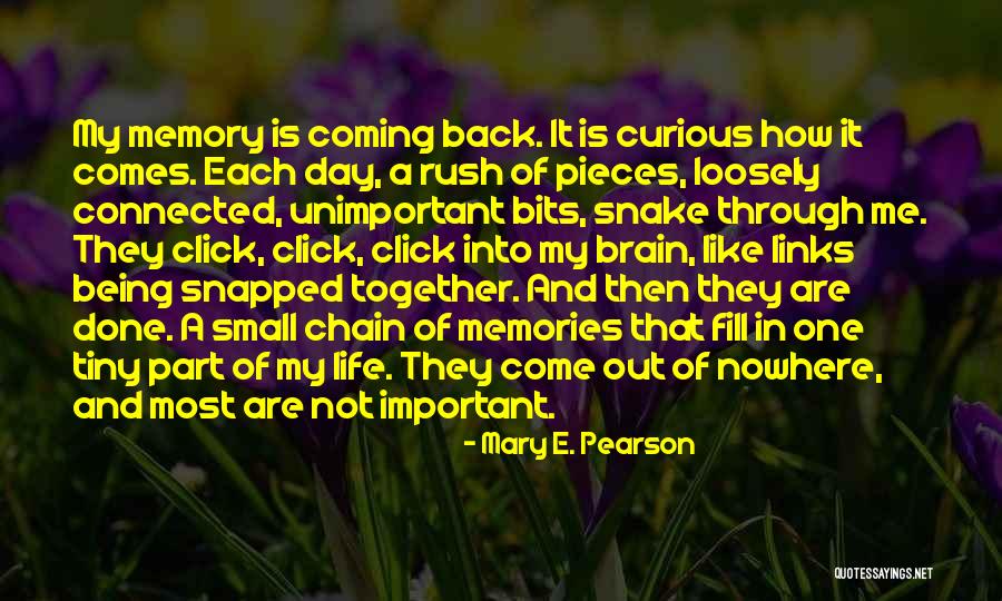 Important Memories Quotes By Mary E. Pearson