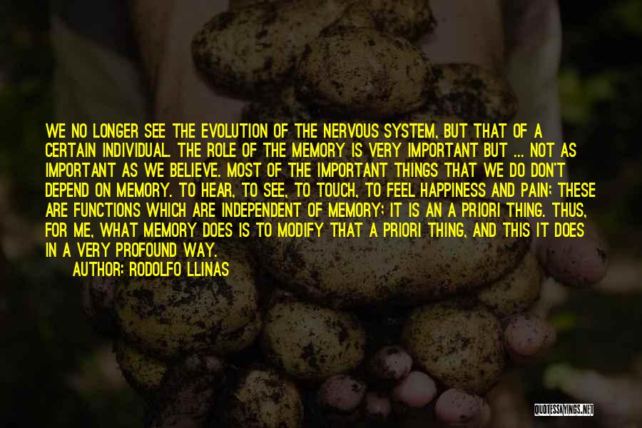 Important Memories Quotes By Rodolfo Llinas